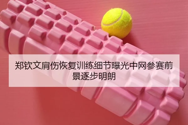 郑钦文肩伤恢复训练细节曝光中网参赛前景逐步明朗